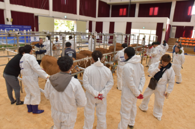 종합심사 및 평가