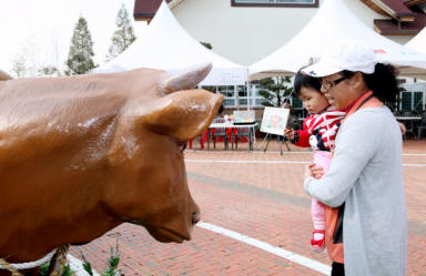 포토존 및 출사대회